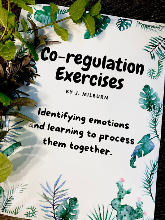 Co-Regulation Exercises
