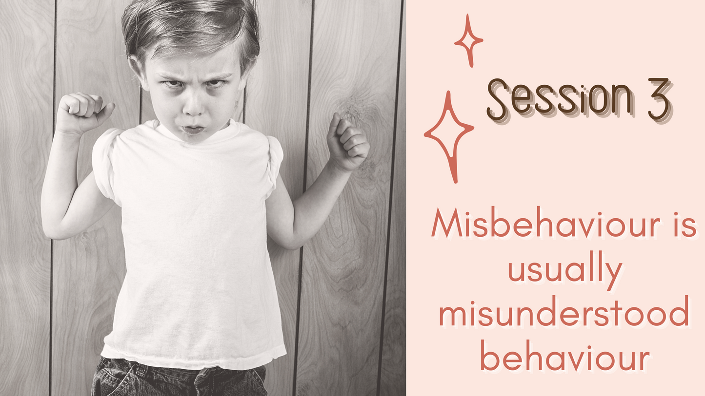 Session 3 Misbehaviour is Usually Misunderstood Behaviour